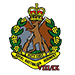 8-9 RAR 8th-9th Battalion Royal Australian Regiment